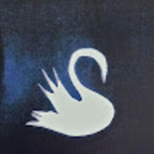 Meet your Posher, Mabel